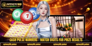 Cash Pulse Numbers - Match Digits For Prize Results