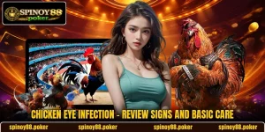 Chicken Eye Infection - Review Signs And Basic Care