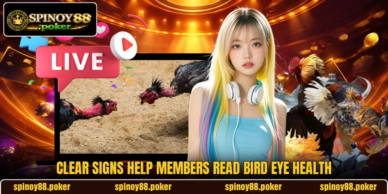 Clear signs help members read bird eye health Clear signs help members read bird eye health