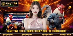 Gamefowl Feeds - Choose Feed Plans For Strong Birds