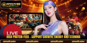 High Protein Feed - Support Growth, Energy And Stamina