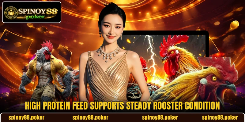 High Protein Feed supports steady rooster condition High Protein Feed supports steady rooster condition
