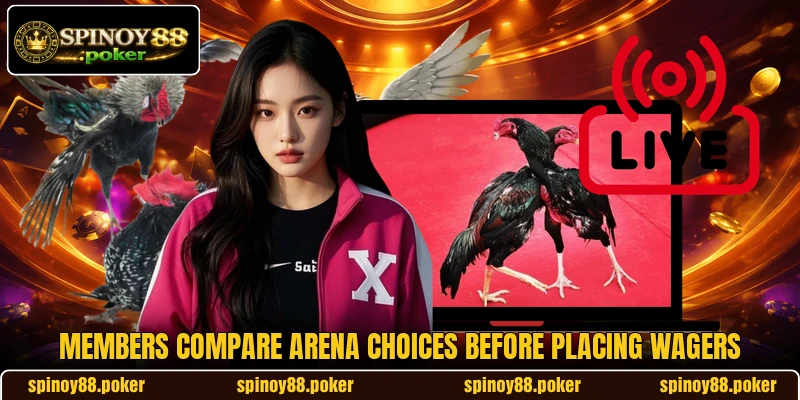 Members compare arena choices before placing wagers Members compare arena choices before placing wagers