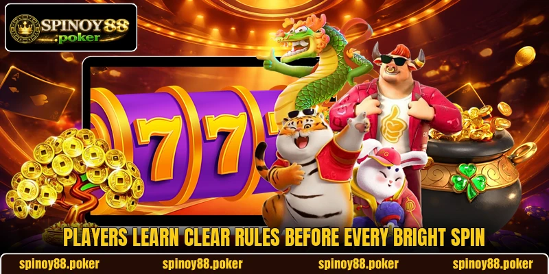 Players learn clear rules before every bright spin Players learn clear rules before every bright spin