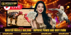 Rooster Muscle Building - Improve Power And Body Form